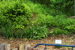 Garten der Sinne 0012