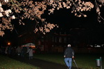 Weihnachtsmarkt 2008-4