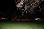 Weihnachtsmarkt 2008-52