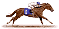 reiten